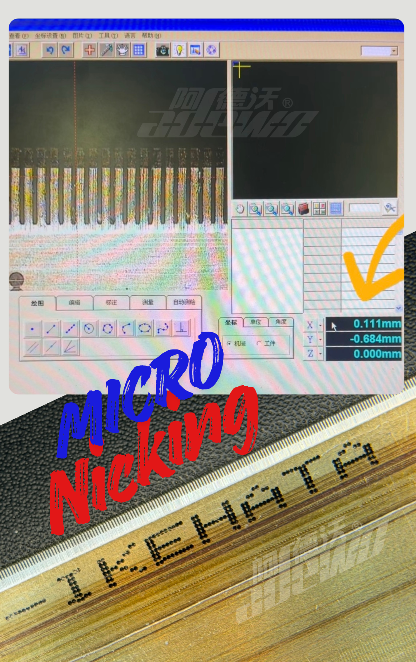 مايكرو نيكينج