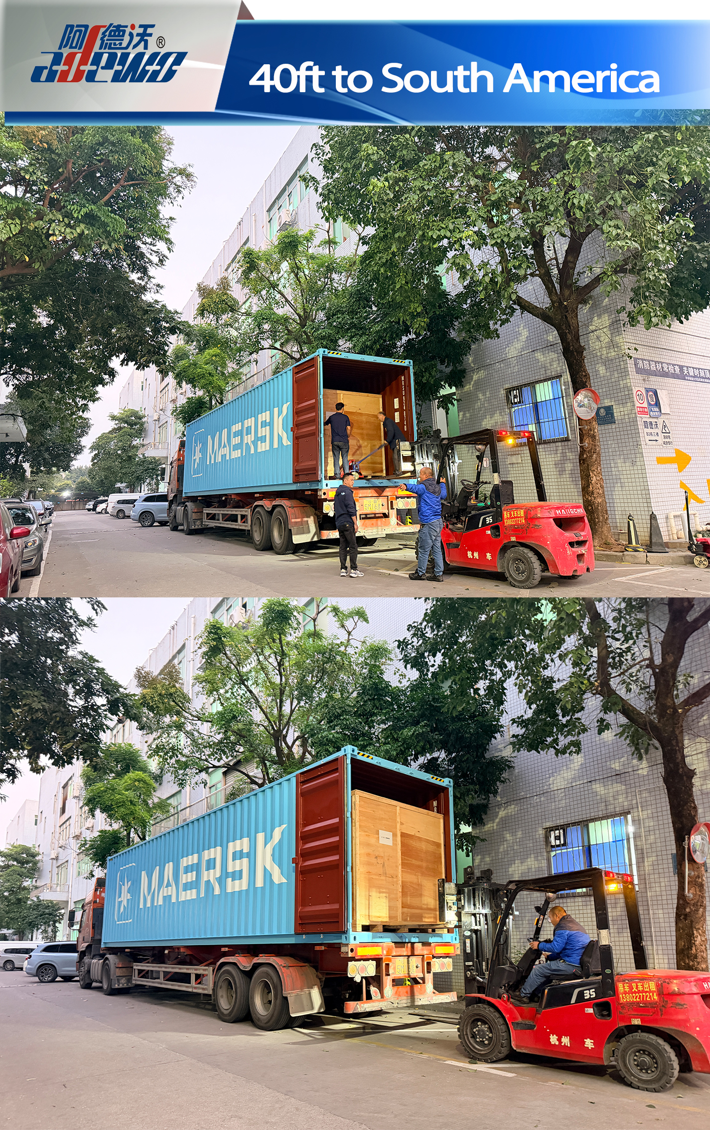 النهاية المثالية لعام 2025!